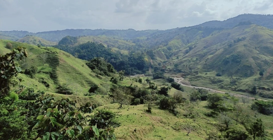 Ecointeligencia Website